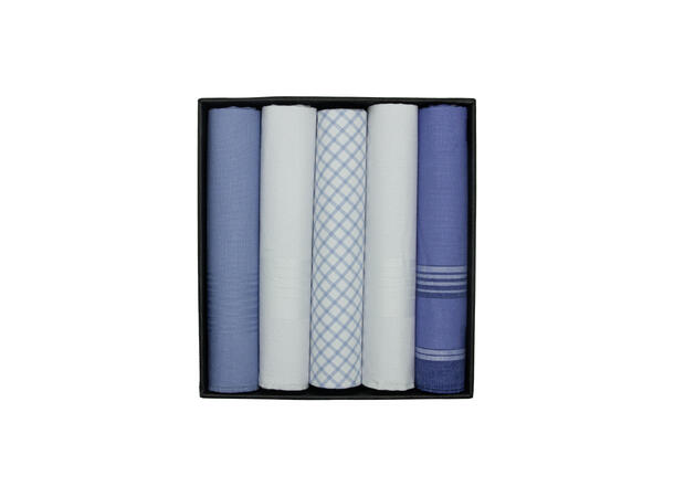 Lommetørkle lys blå ass. 5-pack 